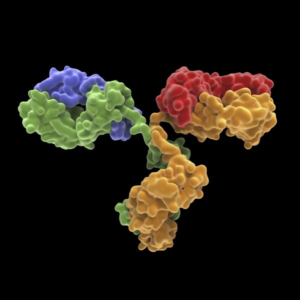 CyFlow™ IgG1 APC